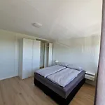 Daire Comfortable Sleeps 3 Near Center *