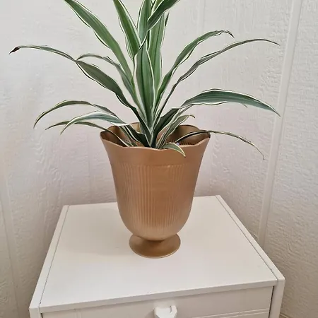 아파트 Comfortable Sleeps 3 Near Center 크리스티안산